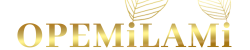 OPE-TRANS-LOGO.png